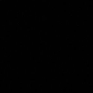 Meet your Posher, Travis